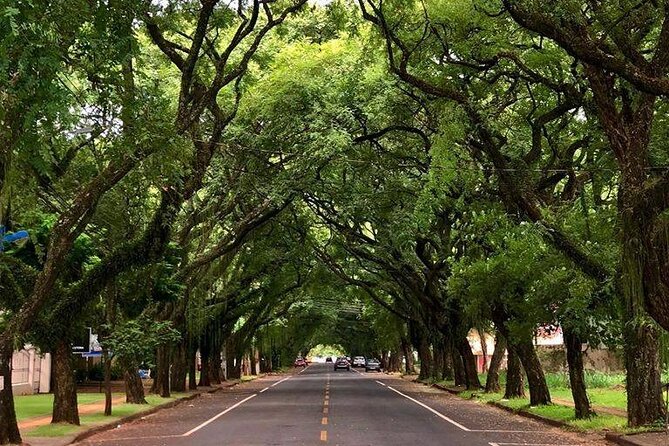 City Tour Foz do Iguaçu Private - The value of a private tour at $41.27