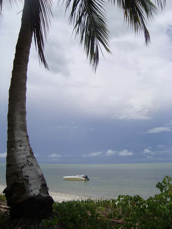 Colonial North Coast beaches - Full-Day Tour - Six hours at Catamaran Praia Beach Club