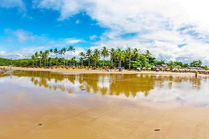 Combo Arraial da Ajuda / Trancoso / Espelho / City tour - by Coconut Experience - Key points to know before booking