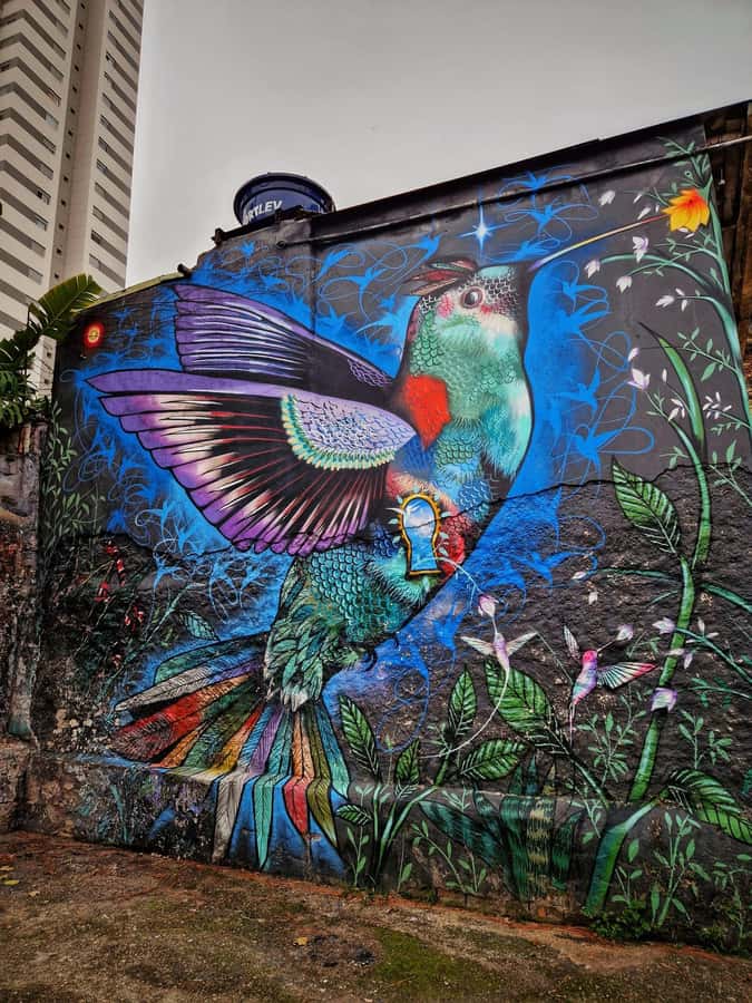 Companionship of a bilingual guide in São Paulo - Key points to know before booking