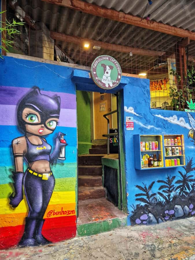 Companionship of a bilingual guide in São Paulo - English, Portuguese, and help with everyday details