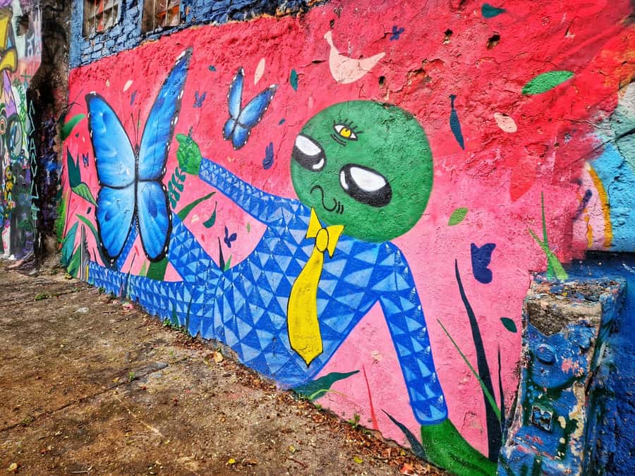 Companionship of a bilingual guide in São Paulo - Paid attractions and other costs