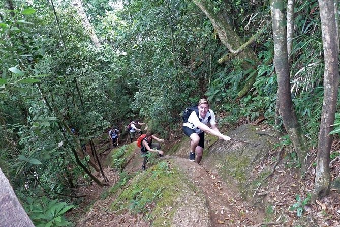 Corcovado Hiking Tour in Rio de Janeiro - The final approach to Christ the Redeemer