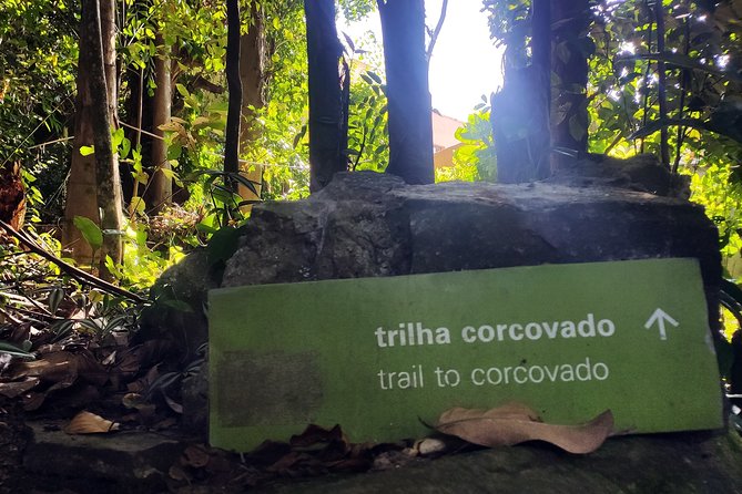 Corcovado Hiking Tour in Rio de Janeiro - Walking back down the mountain