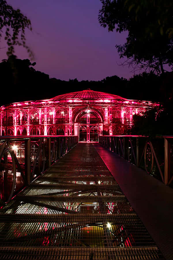 Curitiba: 4-Hour City-By-Night Tour with Dinner - The Botanical Garden works better as a quick landmark visit