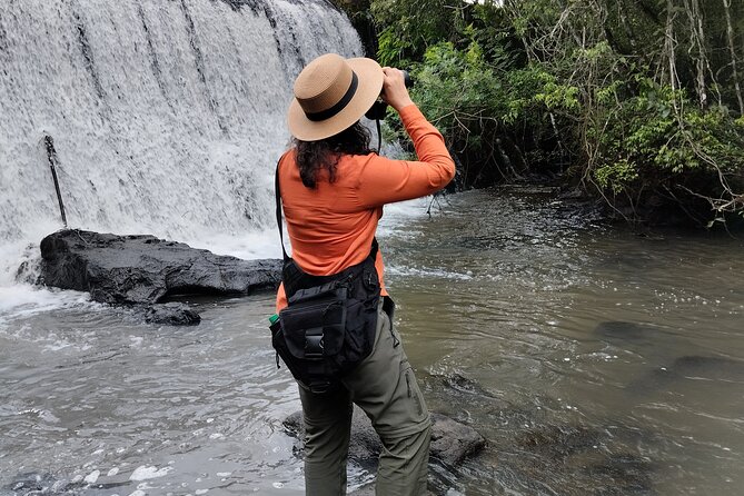 Day tour Cataratas Brazil and Argentina, both small group - Brazil: big views and a faster park transfer