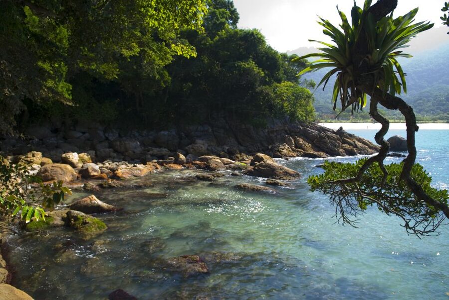 Day Tour to Trindade: Nature and Sea Adventure from Paraty - Praia do Meio and the choice between walking or boating