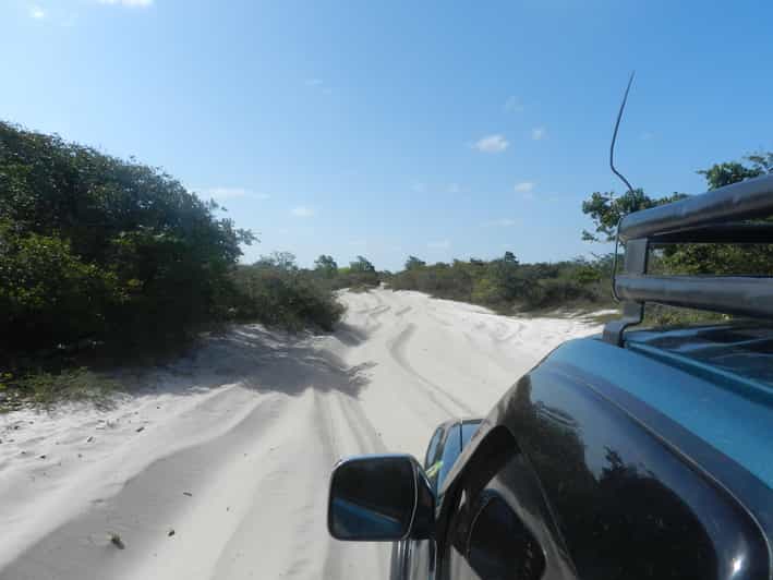 Day trip to Atins through the Lencois Maranhenses - Choosing between lagoons and the sea