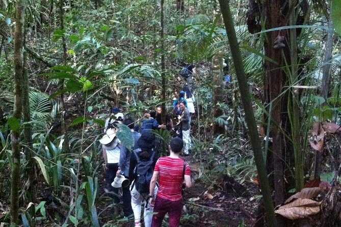 Dinner and Overnight in the Jungle in Manaus - Key points to know before you book