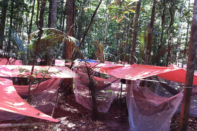 Dinner and Overnight in the Jungle in Manaus - Leaving Manaus by boat at 2 p.m.