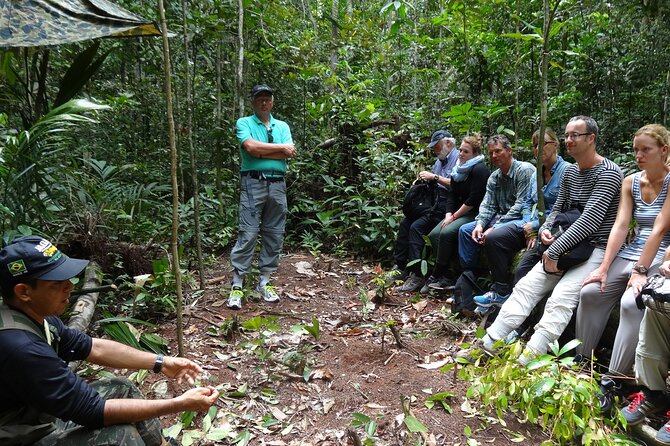 Dinner and Overnight in the Jungle in Manaus - Sleeping in the jungle for one night