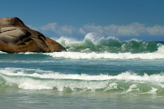 Discover Florianópolis: Full Day City Tour and Local Highlights - Joaquina Beach and Florianópolis’ surf identity