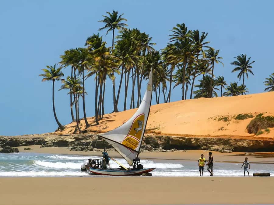 Discover Lagoinha: 1-Day Excursion - Morning pickup along Fortaleza’s coast
