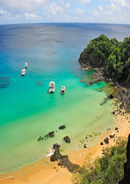 Discover Noronha: 7-Hour Ilhatour Adventure - Why this island tour works as a first day