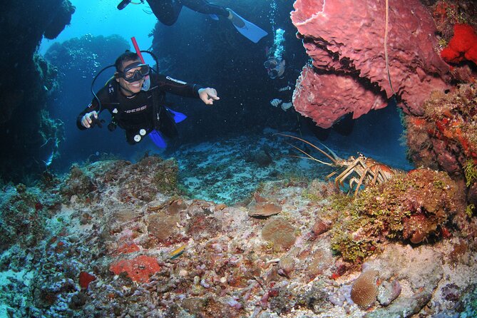 Discover scuba diving in Búzios - Starting at João Fernandinho Beach