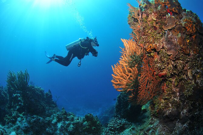 Discover scuba diving in Búzios - Reaching the reefs near João Fernandes