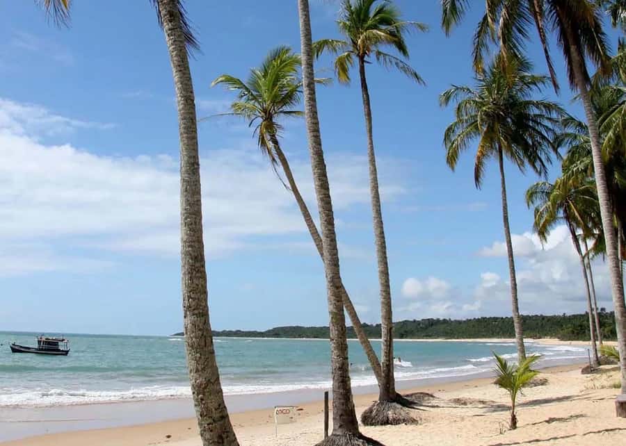 Discover Trancoso: Explore Beaches, History & Local Culture - Key Points to Know Before You Go