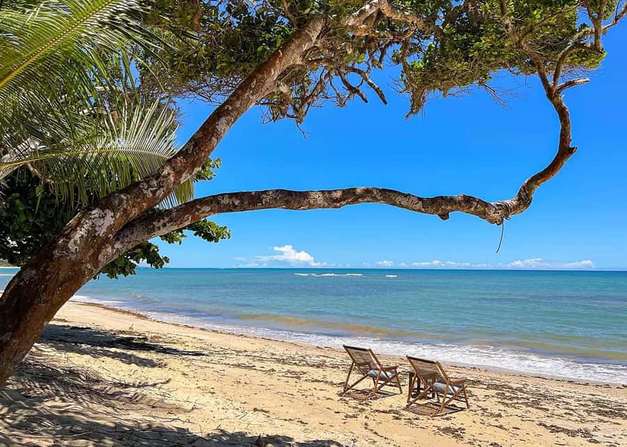 Discover Trancoso: Explore Beaches, History & Local Culture - The Small Church at the Center