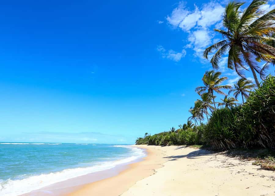 Discover Trancoso: Explore Beaches, History & Local Culture - The Quadrado Viewpoint