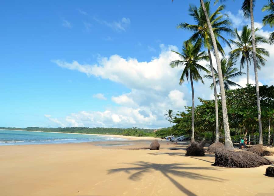 Discover Trancoso: Explore Beaches, History & Local Culture - What the $51 Price Really Covers