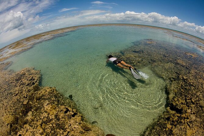 Discover Underwater Beauty: Explore Maracajaú's Parrachos Reef - Key points to know before booking