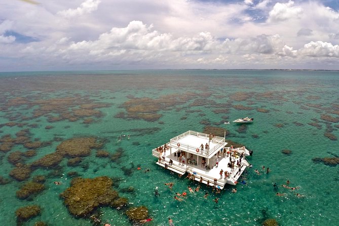 Discover Underwater Beauty: Explore Maracajaú's Parrachos Reef - Leaving Natal for Maracajaú