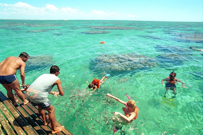 Discover Underwater Beauty: Explore Maracajaú's Parrachos Reef - What the reef visit is really like