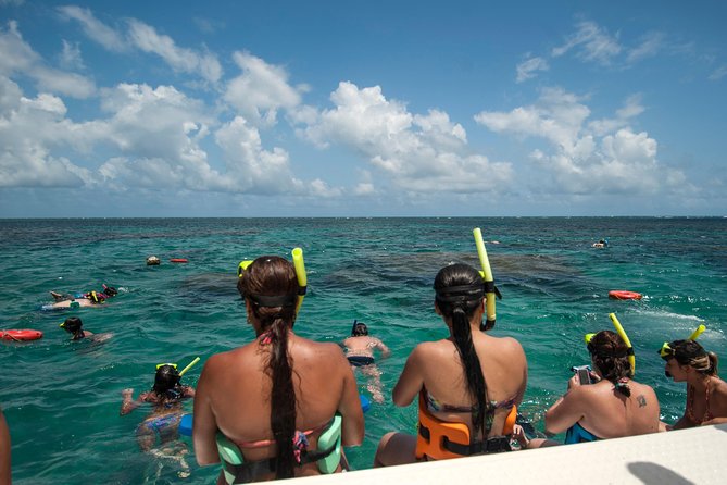 Discover Underwater Beauty: Explore Maracajaú's Parrachos Reef - Is the $101.94 price fair?