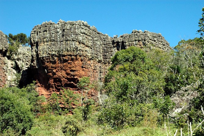 Discover Vila Velha State Park Tour and Witmarsum Colony - Who will enjoy this six-hour outing