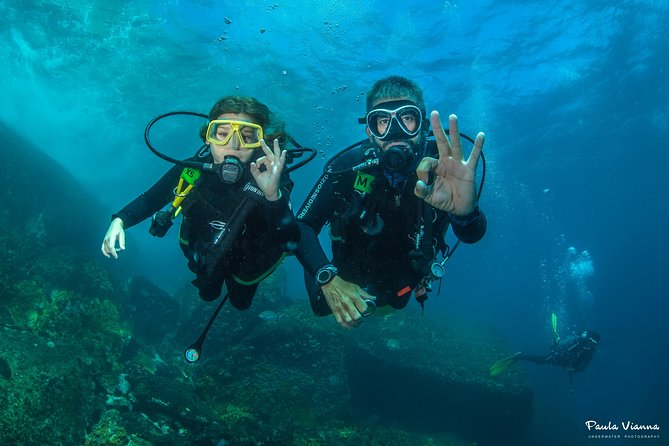 Diving for Beginners and Accredited - Búzios RJ - Key points to know before you book