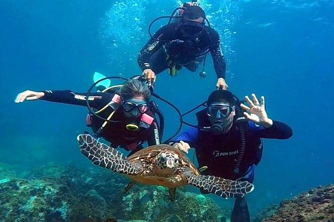 Diving for Beginners and Accredited - Búzios RJ - The first lesson is confidence, not technique