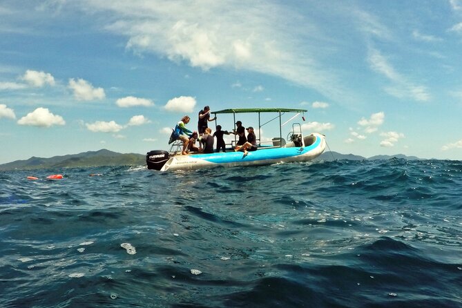Diving with Turtles in Floripa - Barra da Lagoa Beach and the natural pools