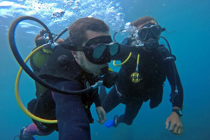 Diving with Turtles in Floripa - A small group makes the instruction better