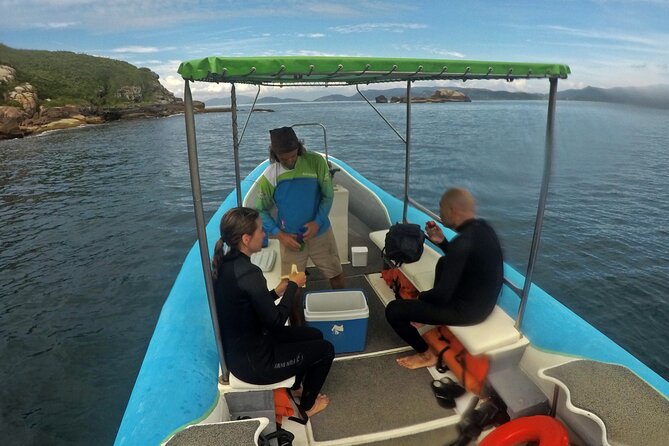 Diving with Turtles in Floripa - Timing, weather, and the real length of the morning