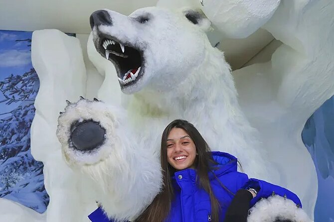 Dreams Ice Bar - Why the $25.88 price can make sense