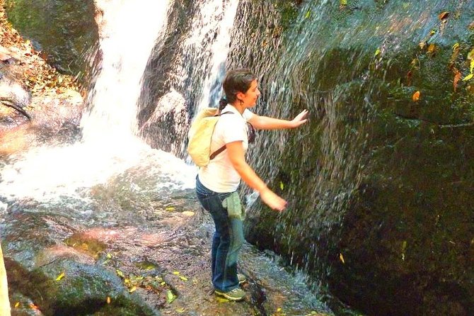 Ecological walk in sao paulo - Key Points to Know Before You Go