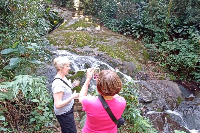 Ecological walk in sao paulo - Why Cantareira Makes a Good Break from São Paulo