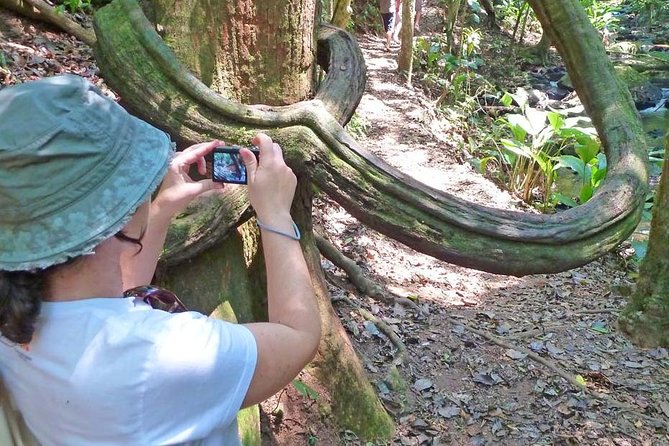 Ecological walk in sao paulo - Who Will Enjoy This São Paulo Nature Tour?