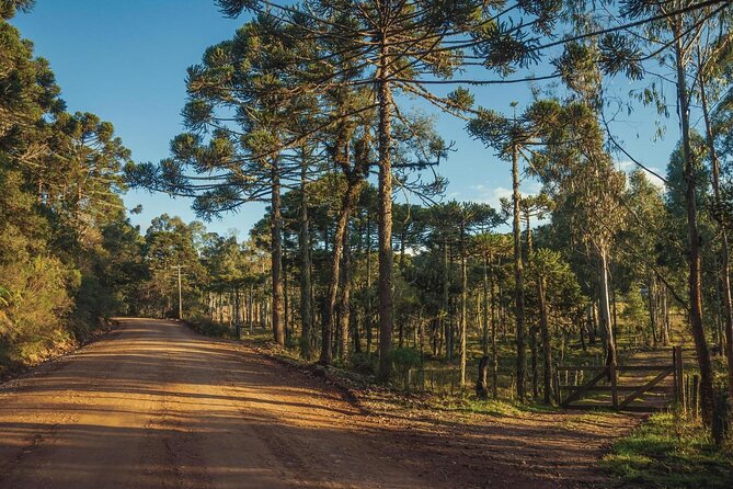 English Speaking Private Tour To Canyons Fortaleza, Itaimbezinho - A 7:00 am start and a 10 to 12-hour day