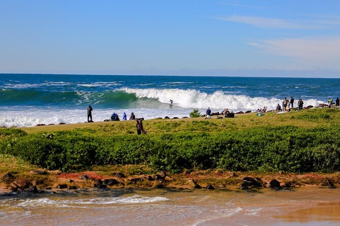 Essential Garopaba Beach Tour – The most beautiful beaches - Key points to know before you book