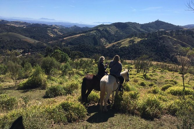 Exclusive Horse Experience with Pic-nic at Belvedere - Key points to know before booking
