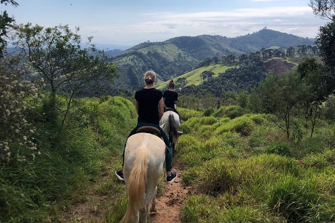 Exclusive Horse Experience with Pic-nic at Belvedere - The drive from Paraty to Serra da Bocaina