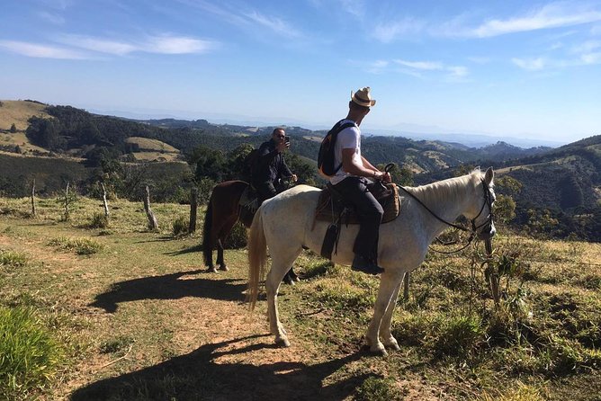 Exclusive Horse Experience with Pic-nic at Belvedere - Basic riding lessons before the trail
