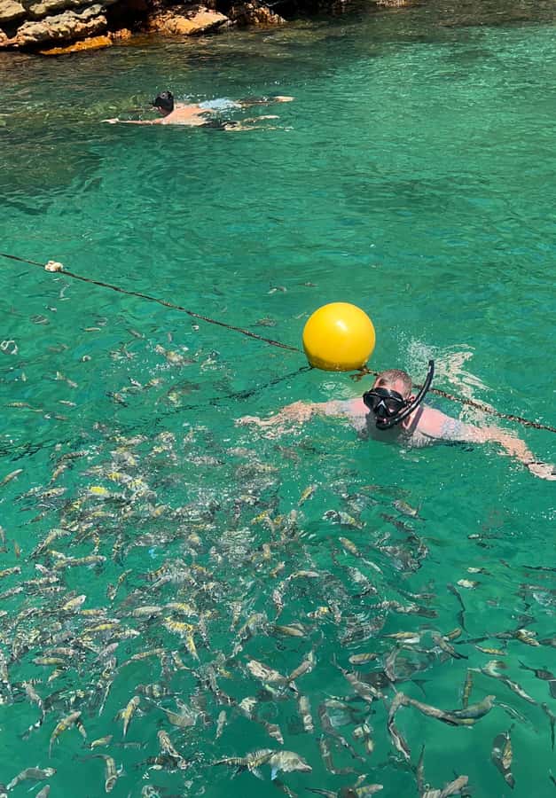 Experience Paradise Ilha Grande in a Speedboat Private - The private speedboat changes the pace