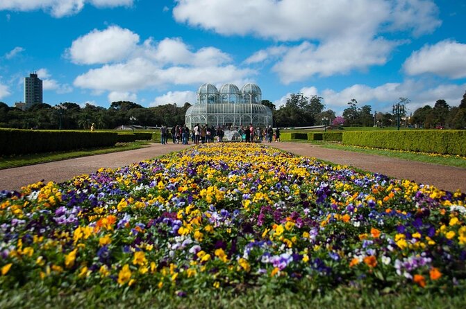Experience the Best of Curitiba: City Tour Highlights - Key points before you book