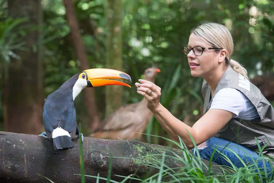 Experience the Brazilian Falls & Bird Park on a Guided Tour - Why this pairing works so well