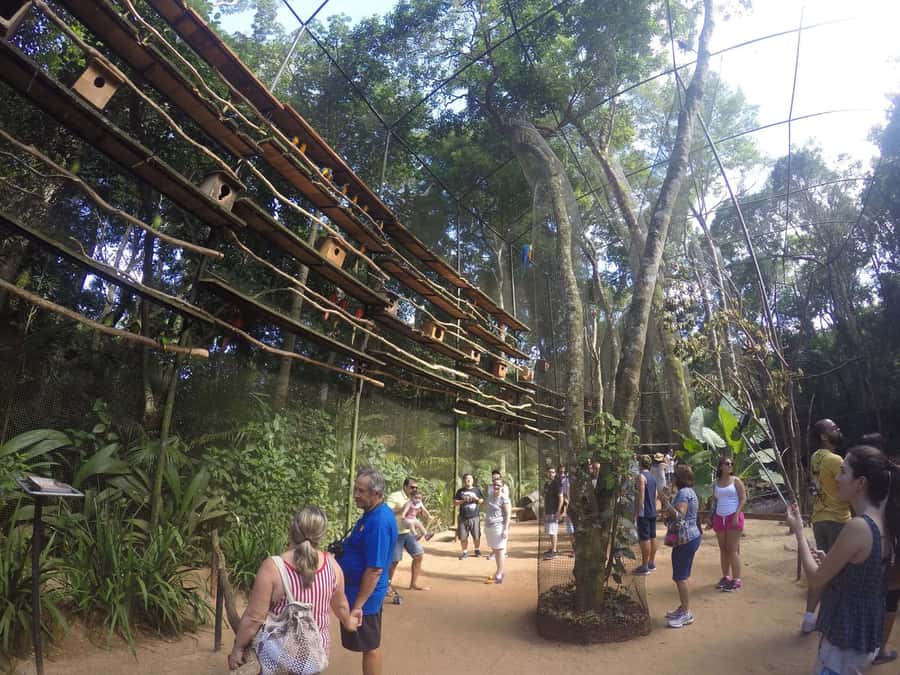 Experience the Brazilian Falls & Bird Park on a Guided Tour - Riding the Redbus between rainforest stops
