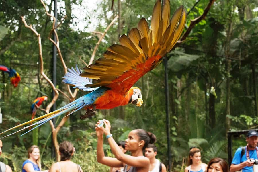 Experience the Brazilian Falls & Bird Park on a Guided Tour - Is $134 a fair price?