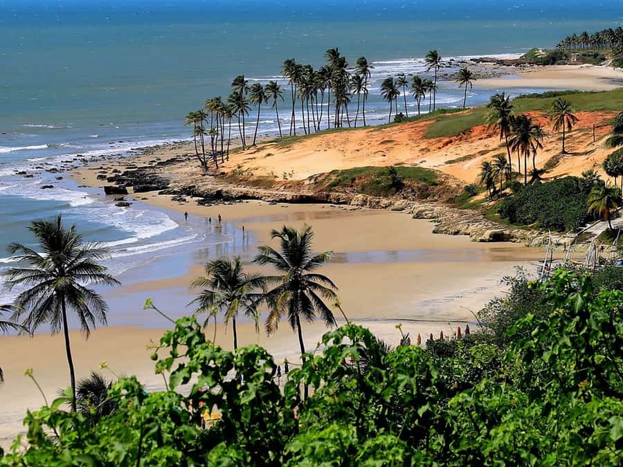 Explore Lagoinha Beach: Full-Day Guided Tour Experience - The freshwater lagoons add a second kind of beach day