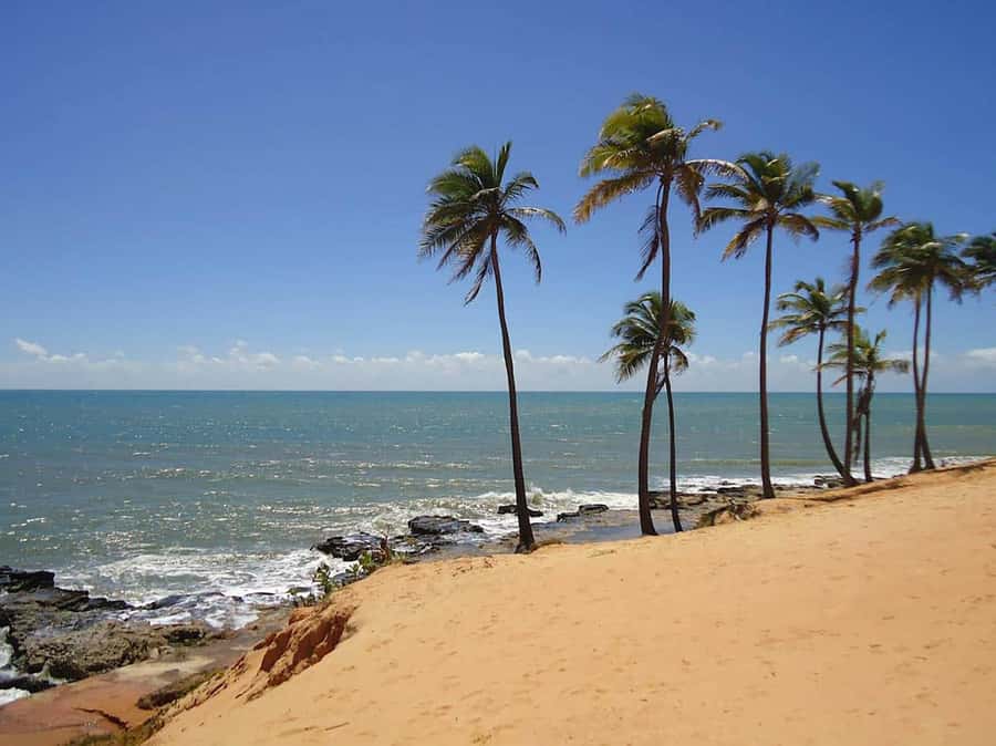 Explore Lagoinha Beach: Full-Day Guided Tour Experience - A beach with French pirate stories